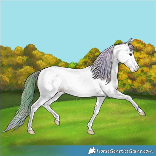 Horse Color:Nacre Watercolor Brown Sabino 