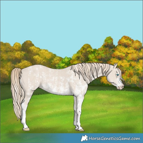 Horse Color:Smoky Creme Sabino  and Smoky Creme Sabino 