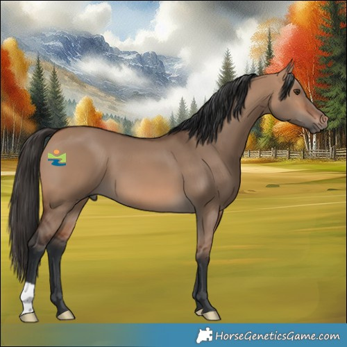 Horse Color:Bay Dun 