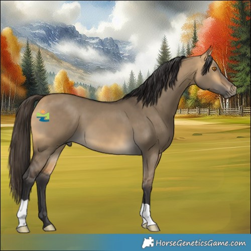 Horse Color:Buckskin Dun 