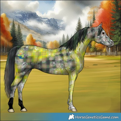 Horse Color:Plaid  Black Ice 
