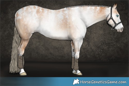 Horse Color:Powder White Gray Cremello 