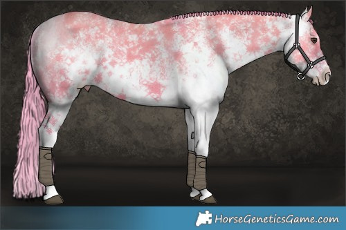 Horse Color:Watercolor White Spotted Liver Red Dun Varnish 