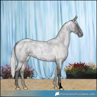 Horse Color:Watercolor Silver Buckskin Ice Roan Pearl 