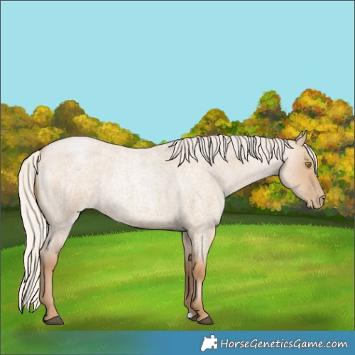 Horse Color:Silver Grullo Roan Pearl 