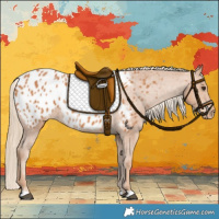 Horse Color:Chestnut Blanket
