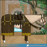 Horse Color:Red Dun 