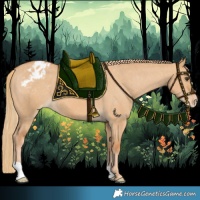 Horse Color:Red Dun Varnish 