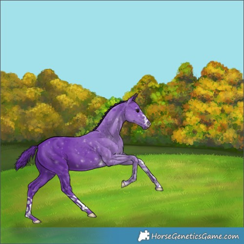 Horse Color:Watercolor Black