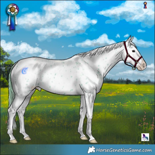 Horse Color:Watercolor Blue Roan Blanket 