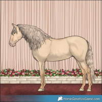 Horse Color:Gold Champagne Dun 