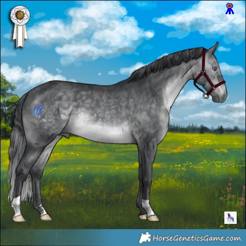 Horse Color:Brown Chinchilla 
