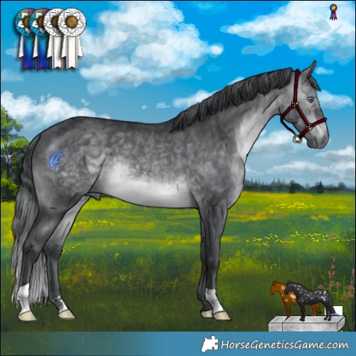 Horse Color:Brown Chinchilla 
