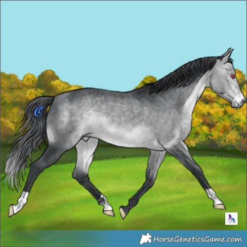 Horse Color:Brown Chinchilla 