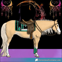 Horse Color:Palomino 