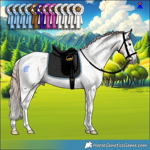 Horse Color:Gray Liver Red Dun Sabino Tobiano Rabicano and Gray Liver Red Dun Sabino Tobiano Rabicano