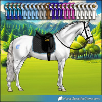Horse Color:Gray Liver Red Dun Sabino Tobiano Rabicano  and Gray Liver Red Dun Sabino Tobiano Rabicano 