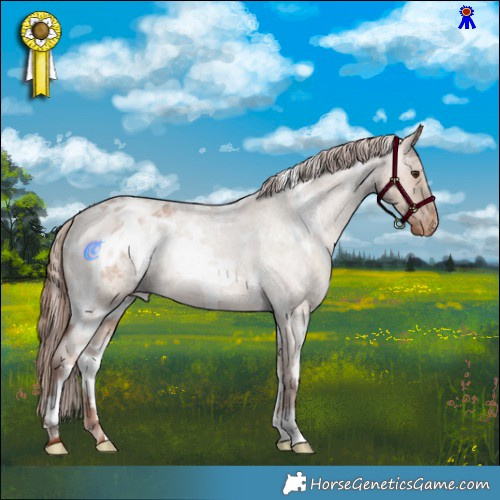 Horse Color:White Spotted Red Dun Roan Appaloosa Rabicano 
