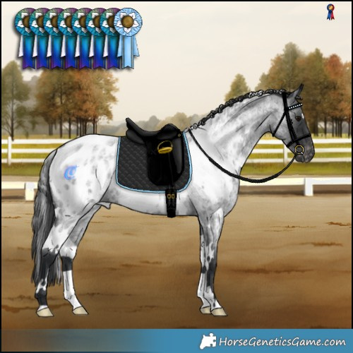 Horse Color:White Spotted Blue Roan Blanket Rabicano 