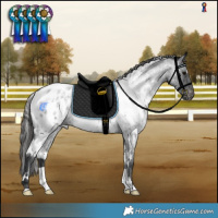Horse Color:White Spotted Blue Roan Blanket Rabicano 