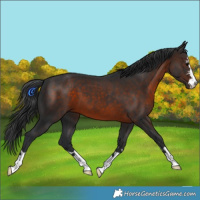 Horse Color:Brown 