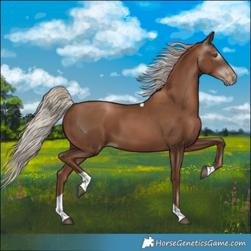 Horse Color:Gray Silver Black Pearl Tobiano