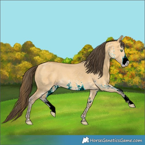 Horse Color:White Spotted Amber Cream Champagne Dun 