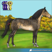 Horse Color:Buckskin Tobiano 