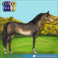 Horse Color:Buckskin Tobiano 