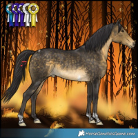 Horse Color:Buckskin Tobiano 