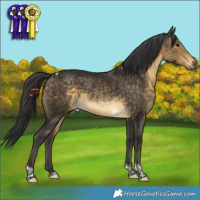 Horse Color:Buckskin Tobiano 