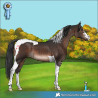 Horse Color:Brown Mushroom Tobiano
