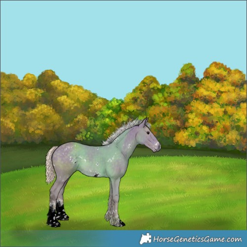 Horse Color:Watercolor White Spotted Silver Black 