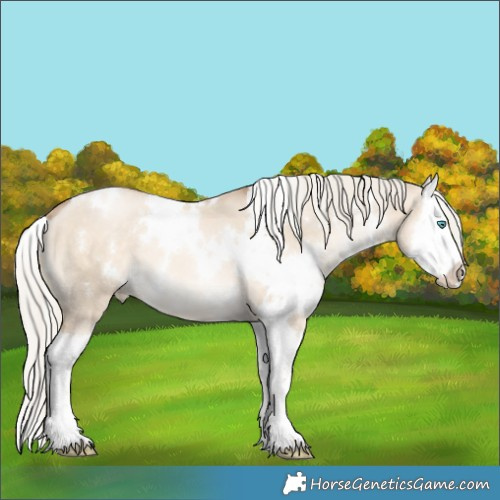 Horse Color:White Spotted Chocolate Palomino Pearl Dun Splash 