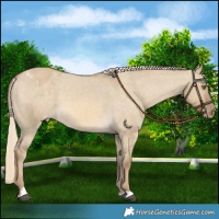 Horse Color:Chocolate Palomino Dun Mushroom Appaloosa 