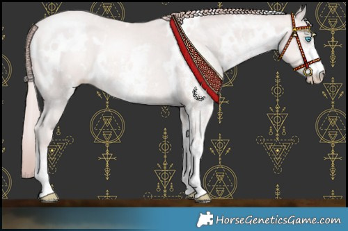 Horse Color:Platinum White Spotted Buckskin Pearl Sabino 