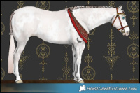 Horse Color:Platinum White Spotted Buckskin Pearl Sabino 