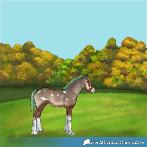 Horse Color:Painted White Spotted Silver Blue Onyx