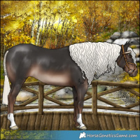 Horse Color:Liver Chestnut Mushroom 