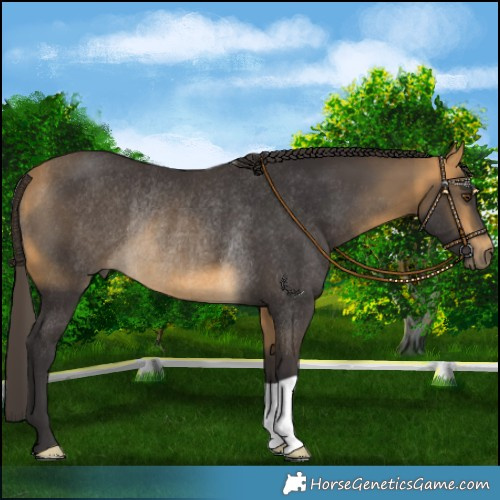 Horse Color:Buckskin Mushroom Rabicano 