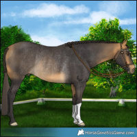Horse Color:Buckskin Mushroom Rabicano 