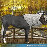 Horse Color:Liver Chestnut Mushroom Varnish 