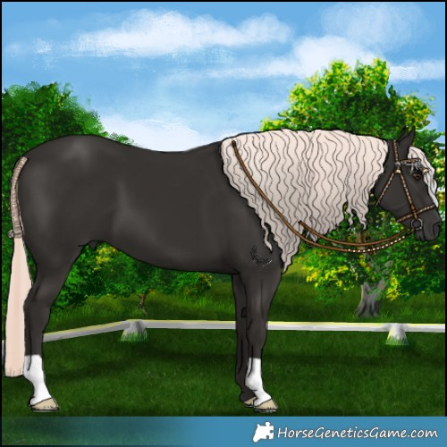Horse Color:Liver Chestnut Mushroom 