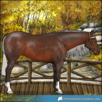 Horse Color:Silver Bay 