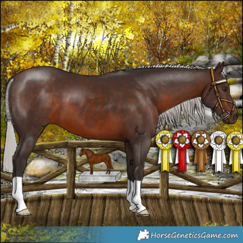 Horse Color:Silver Brown 