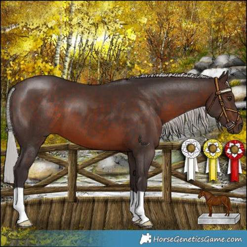 Horse Color:Silver Brown