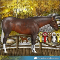 Horse Color:Silver Brown