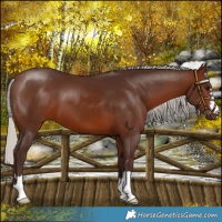 Horse Color:Silver Brown 