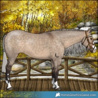 Horse Color:Silver Brown Dun
