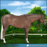 Horse Color:Silver Black 
